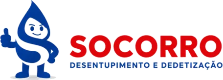 Logo Desentupidora em Biguaçu